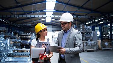 Labour, Materials, and Machines: Managing Resources with ERP